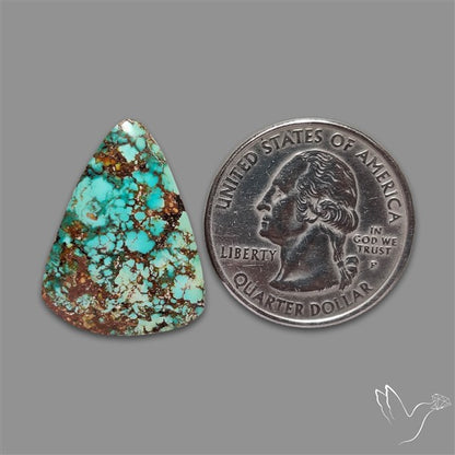 Rare Nishapuri Feroza Turquoise Cabochon Authentic