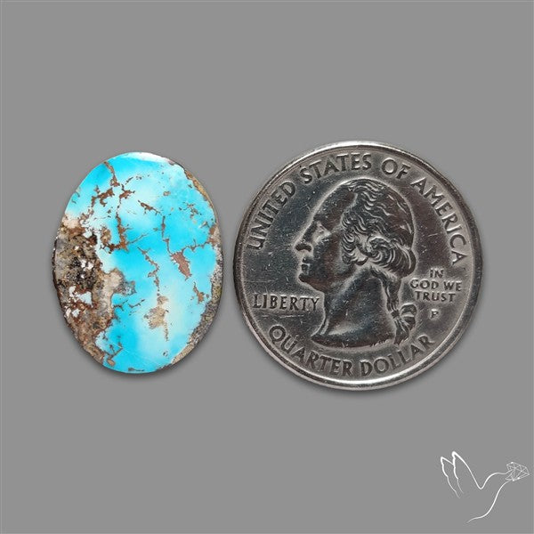 Rare Nishapuri Feroza Turquoise Cabochon Authentic