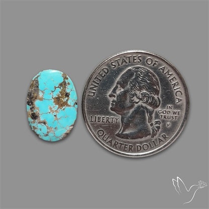 Rare Nishapuri Feroza Turquoise Cabochon Authentic