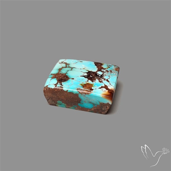Rare Nishapuri Feroza Turquoise Cabochon Authentic