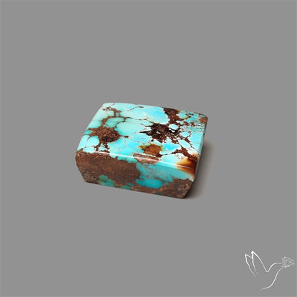 Rare Nishapuri Feroza Turquoise Cabochon Authentic