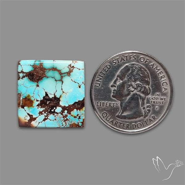Rare Nishapuri Feroza Turquoise Cabochon Authentic