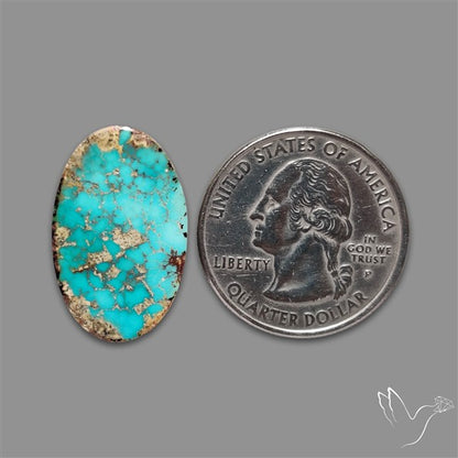 Rare Nishapuri Feroza Turquoise Cabochon Authentic
