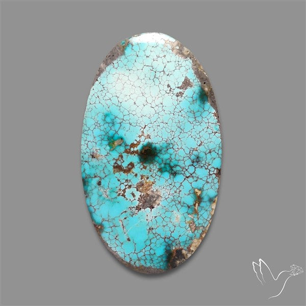 Rare Nishapuri Feroza Turquoise Cabochon Authentic