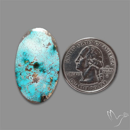 Rare Nishapuri Feroza Turquoise Cabochon Authentic