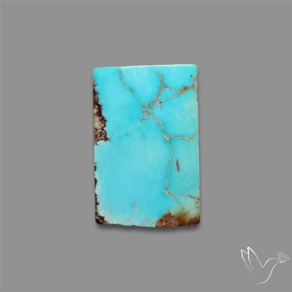 Rare Nishapuri Feroza Turquoise Cabochon Authentic