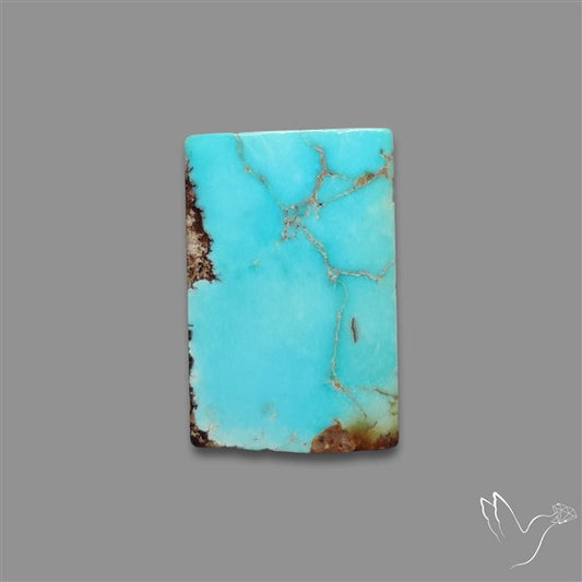 Rare Nishapuri Feroza Turquoise Cabochon Authentic