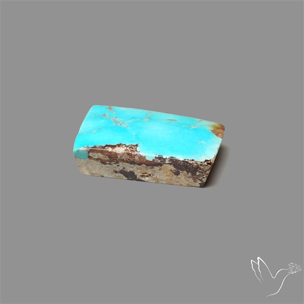 Rare Nishapuri Feroza Turquoise Cabochon Authentic