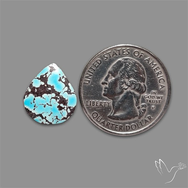 Rare Nishapuri Feroza Turquoise Cabochon Authentic