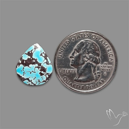 Rare Nishapuri Feroza Turquoise Cabochon Authentic