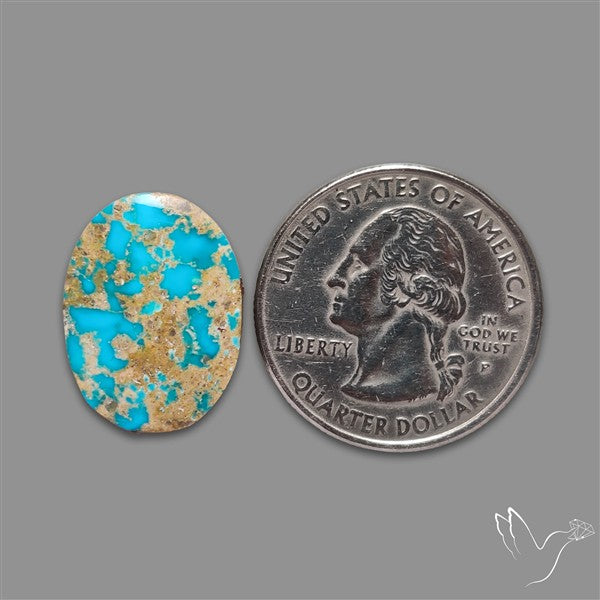 Rare Nishapuri Feroza Turquoise Cabochon Authentic