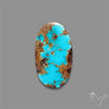 Rare Nishapuri Feroza Turquoise Cabochon Authentic