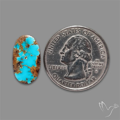 Rare Nishapuri Feroza Turquoise Cabochon Authentic
