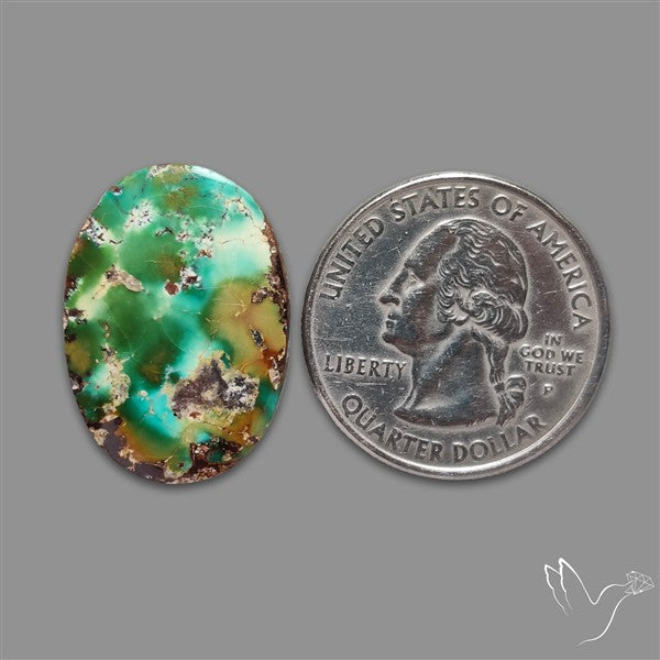 Rare Nishapuri Feroza Turquoise Cabochon Authentic