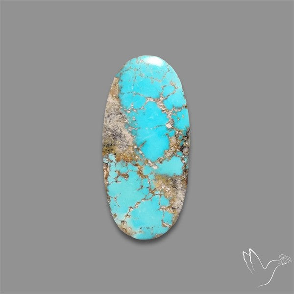 Rare Nishapuri Feroza Turquoise Cabochon Authentic