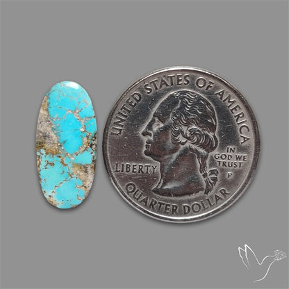 Rare Nishapuri Feroza Turquoise Cabochon Authentic