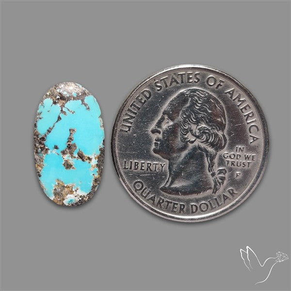 Rare Nishapuri Feroza Turquoise Cabochon Authentic