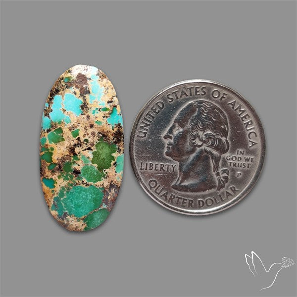 Rare Nishapuri Feroza Turquoise Cabochon Authentic