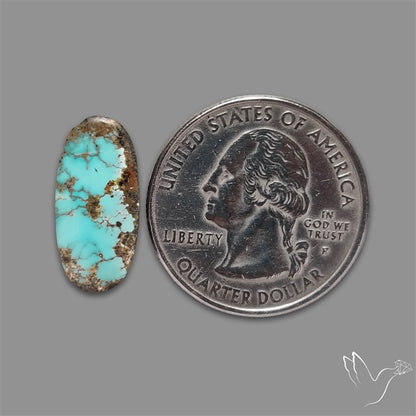 Rare Nishapuri Feroza Turquoise Cabochon Authentic