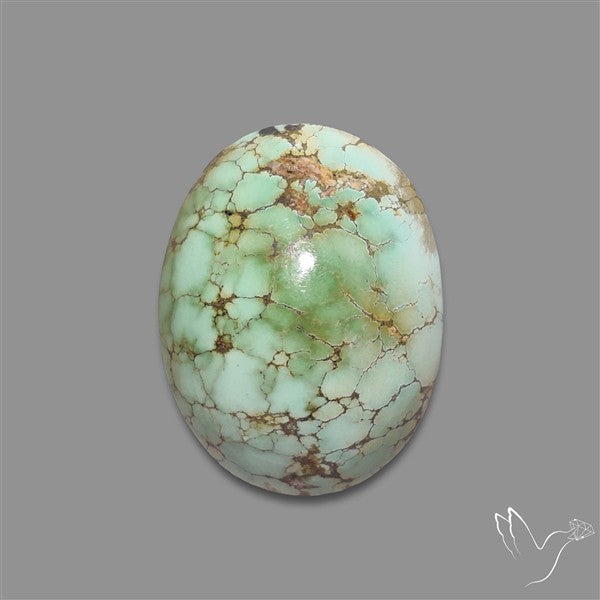Rare Nishapuri Feroza Turquoise Cabochon Authentic