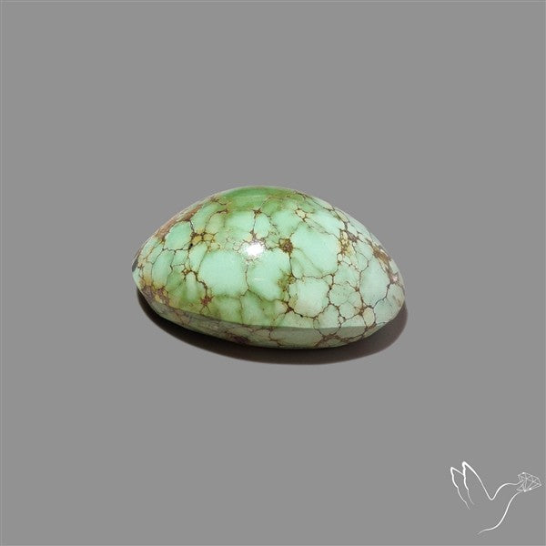 Rare Nishapuri Feroza Turquoise Cabochon Authentic