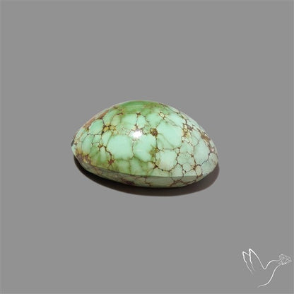 Rare Nishapuri Feroza Turquoise Cabochon Authentic
