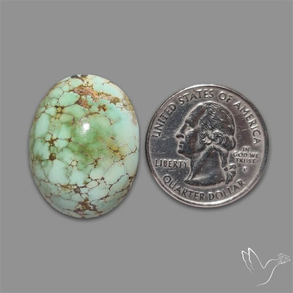Rare Nishapuri Feroza Turquoise Cabochon Authentic