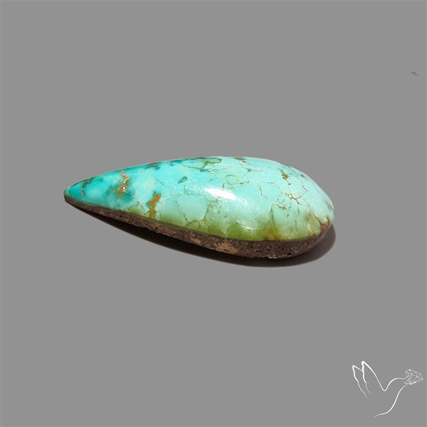 Rare Nishapuri Feroza Turquoise Cabochon Authentic