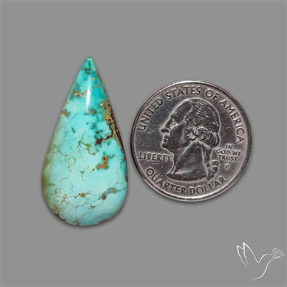 Rare Nishapuri Feroza Turquoise Cabochon Authentic