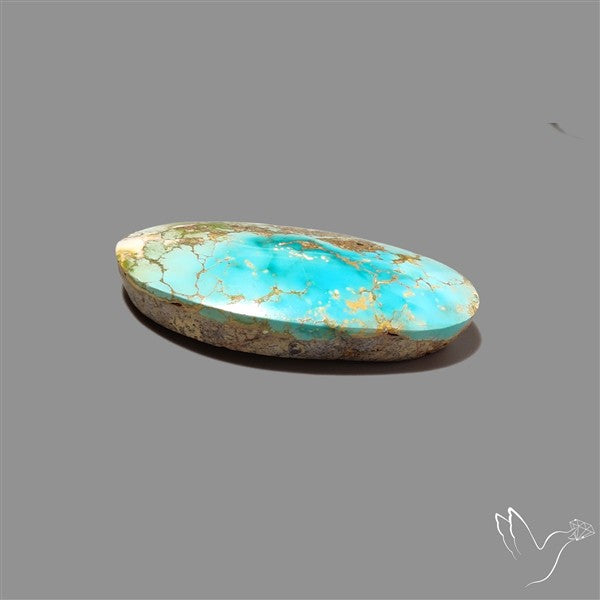 Rare Nishapuri Feroza Turquoise Cabochon Authentic