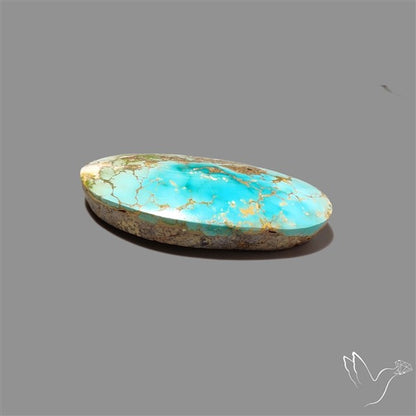 Rare Nishapuri Feroza Turquoise Cabochon Authentic