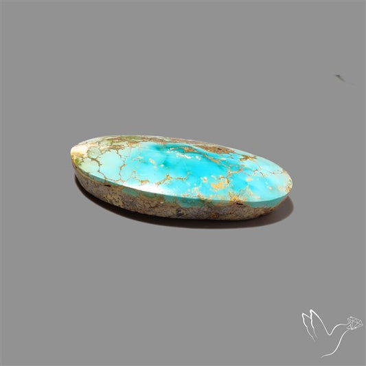 Rare Nishapuri Feroza Turquoise Cabochon Authentic