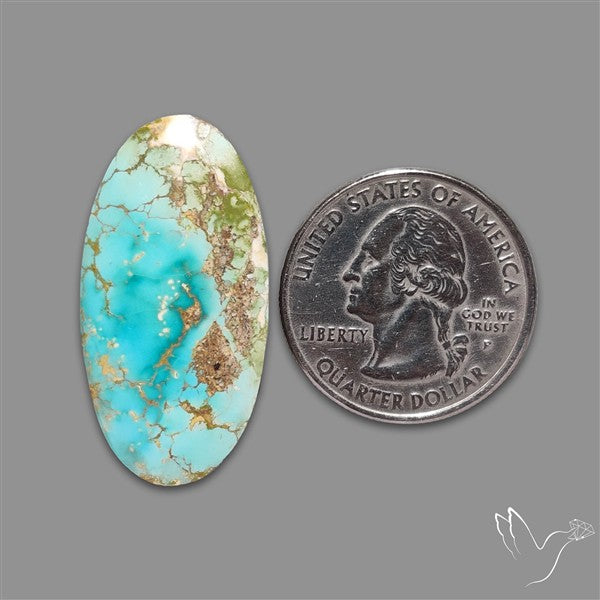 Rare Nishapuri Feroza Turquoise Cabochon Authentic