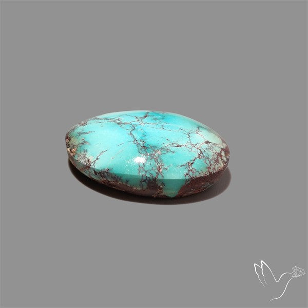 Rare Nishapuri Feroza Turquoise Cabochon Authentic