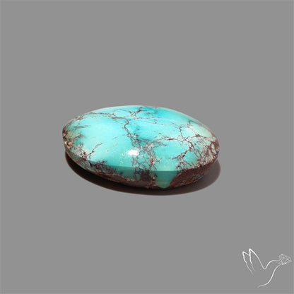 Rare Nishapuri Feroza Turquoise Cabochon Authentic