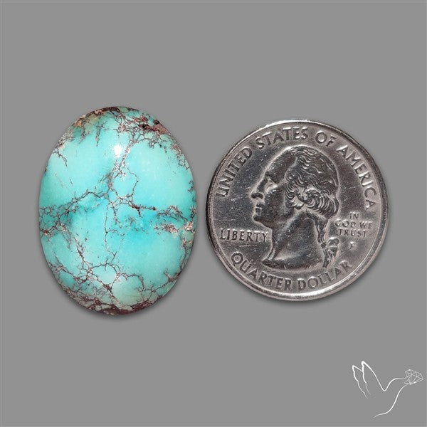 Rare Nishapuri Feroza Turquoise Cabochon Authentic