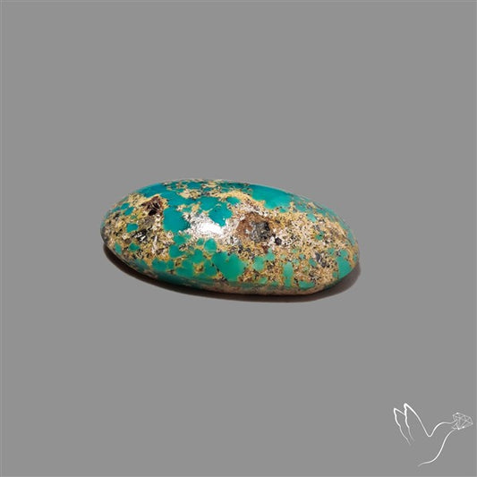 Rare Nishapuri Feroza Turquoise Cabochon Authentic