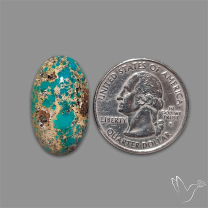 Rare Nishapuri Feroza Turquoise Cabochon Authentic