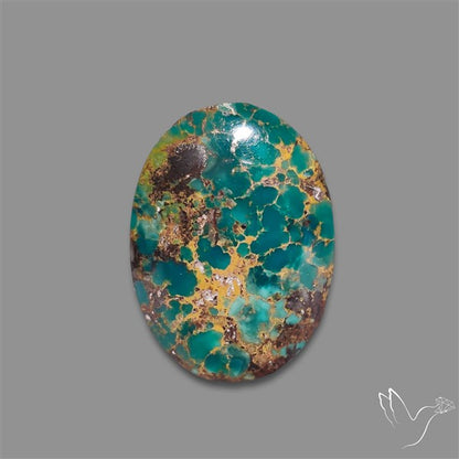 Rare Nishapuri Feroza Turquoise Cabochon Authentic