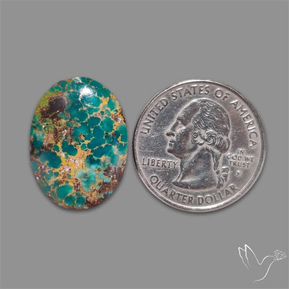 Rare Nishapuri Feroza Turquoise Cabochon Authentic