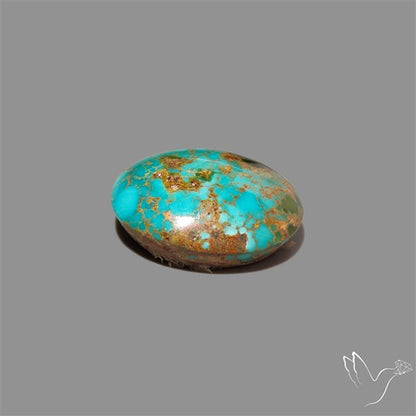 Rare Nishapuri Feroza Turquoise Cabochon Authentic