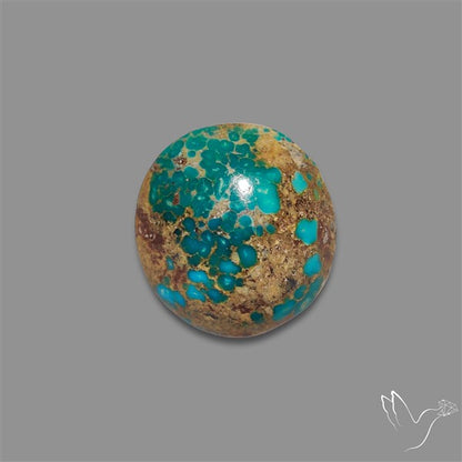 Rare Nishapuri Feroza Turquoise Cabochon Authentic