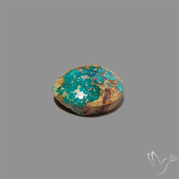 Rare Nishapuri Feroza Turquoise Cabochon Authentic