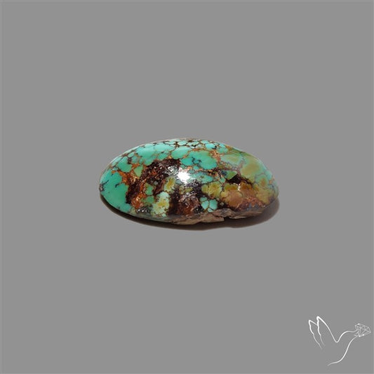 Rare Nishapuri Feroza Turquoise Cabochon Authentic