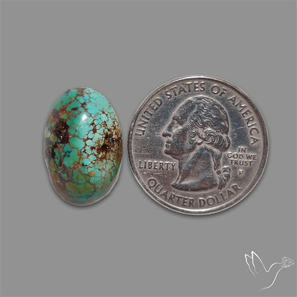 Rare Nishapuri Feroza Turquoise Cabochon Authentic