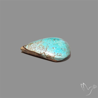 Rare Nishapuri Feroza Turquoise Cabochon Authentic