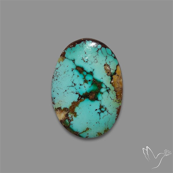 Rare Nishapuri Feroza Turquoise Cabochon Authentic