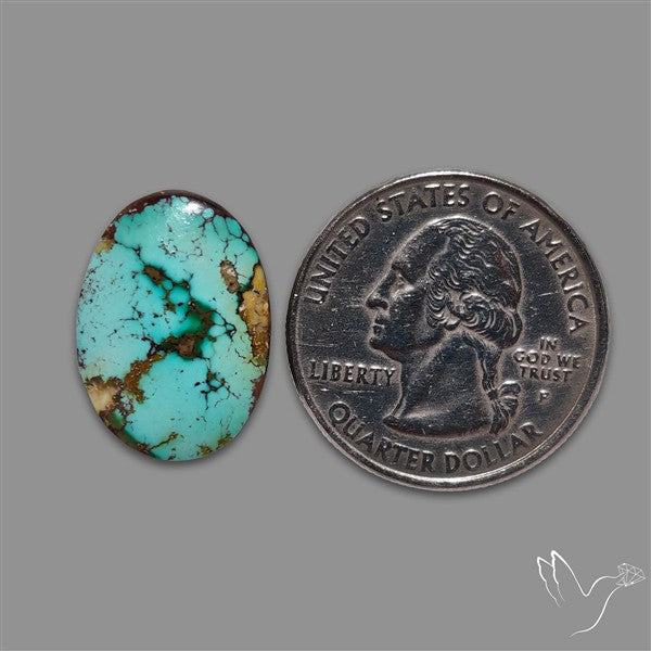 Rare Nishapuri Feroza Turquoise Cabochon Authentic