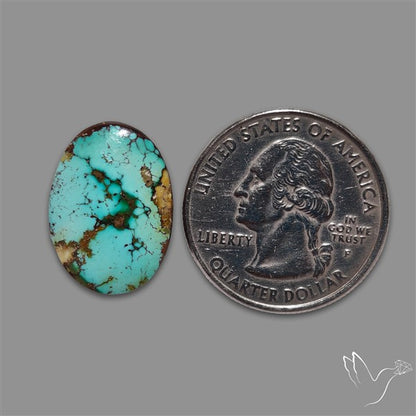 Rare Nishapuri Feroza Turquoise Cabochon Authentic
