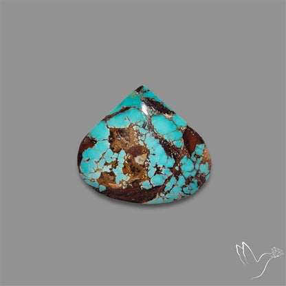 Rare Nishapuri Feroza Turquoise Cabochon Authentic
